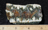 Linda Marie Rock Slab 480