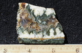 Linda Marie Rock Slab 494