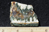 Linda Marie Rock Slab 494