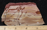 Red Falcon Jasper Rock Slab 497