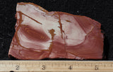 Red Falcon Jasper Rock Slab 488