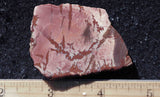 Red Falcon Jasper Rock Slab 494