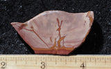 Red Falcon Jasper Rock Slab 492