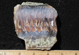 Nyssa Plume Agate Rock Slab 472