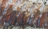 Nyssa Plume Agate Rock Slab 483