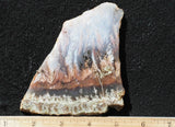 Nyssa Plume Agate Rock Slab 479