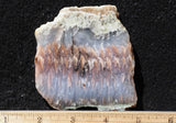 Nyssa Plume Agate Rock Slab 474