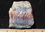 Nyssa Plume Agate Rock Slab 471