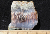 Nyssa Plume Agate Rock Slab 476