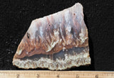 Nyssa Plume Agate Rock Slab 473