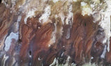 Nyssa Plume Agate Rock Slab 493