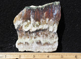 Nyssa Plume Agate Rock Slab 493