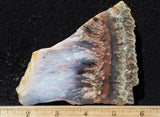 Nyssa Plume Agate Rock Slab 481