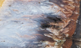 Nyssa Plume Agate Rock Slab 481