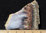 Nyssa Plume Agate Rock Slab 481