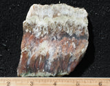 Nyssa Plume Agate Rock Slab 495