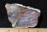 Nyssa Plume Agate Rock Slab 482