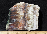 Nyssa Plume Agate Rock Slab 492