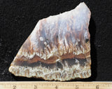 Nyssa Plume Agate Rock Slab 485