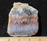 Nyssa Plume Agate Rock Slab 470