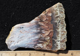 Nyssa Plume Agate Rock Slab 497