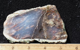 Nyssa Plume Agate Rock Slab 496