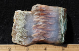 Nyssa Plume Agate Rock Slab 486