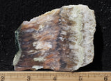 Nyssa Plume Agate Rock Slab 498