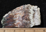 Nyssa Plume Agate Rock Slab 491