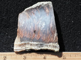 Nyssa Plume Agate Rock Slab 489