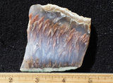 Nyssa Plume Agate Rock Slab 475