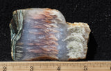 Nyssa Plume Agate Rock Slab 478