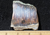 Nyssa Plume Agate Rock Slab 480