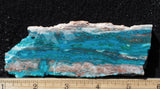 Chrysocolla Rock Slab 431