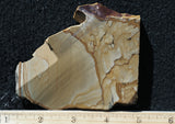 Succor Creek Jasper 495