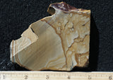 Succor Creek Jasper 495