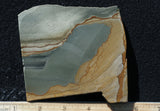 Succor Creek Jasper 473