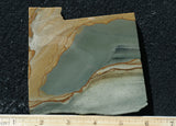 Succor Creek Jasper 478