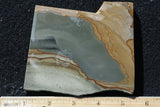 Succor Creek Jasper 476