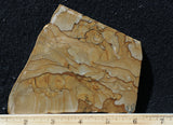 Succor Creek Jasper 485