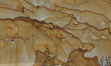 Succor Creek Jasper 485