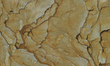 Succor Creek Jasper 479