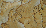 Succor Creek Jasper 474