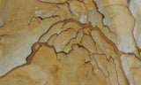 Succor Creek Jasper 474