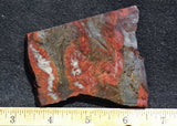 Binghamite Slab 66