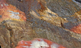 Binghamite Slab 69