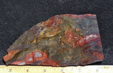 Binghamite Slab 47