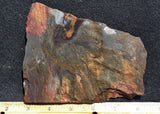 Binghamite Slab 63