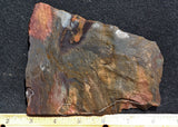 Binghamite Slab 63