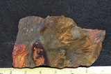 Binghamite Slab 49